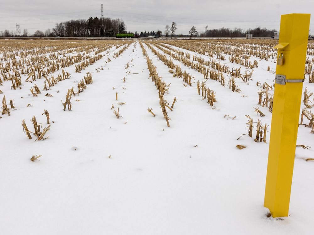 City hall’s push to bring 60 micro-shelters for London’s homeless to a southeast farm field is moving ahead.