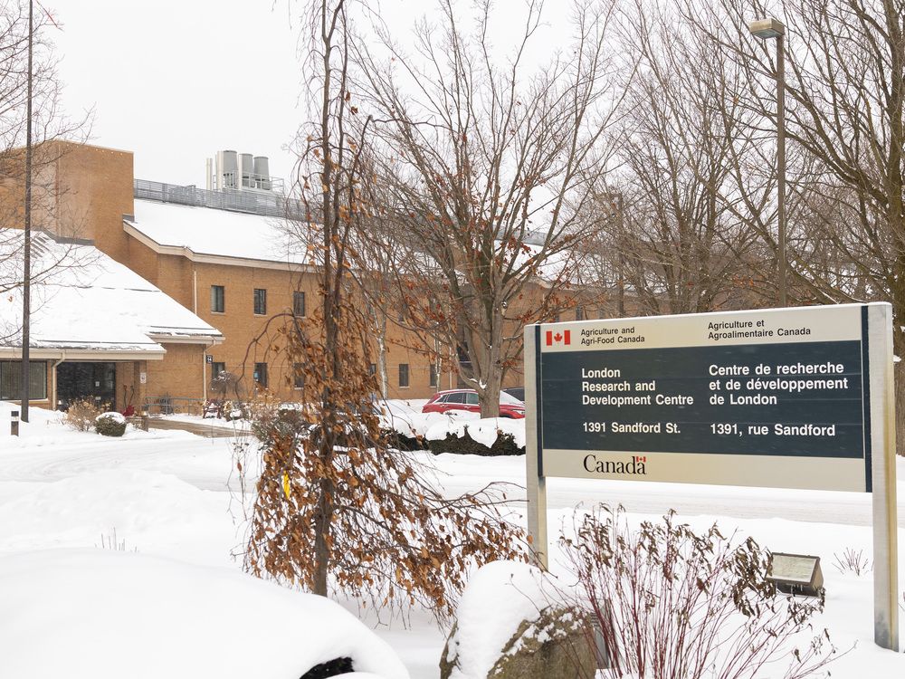 Homeowners face loss of yard space after a survey showed “encroachments” onto federal land.