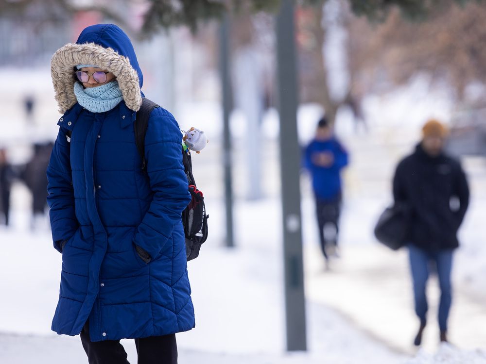 A deep freeze will later this week bring overnight lows as cold as -20 C, according to Environment Canada.