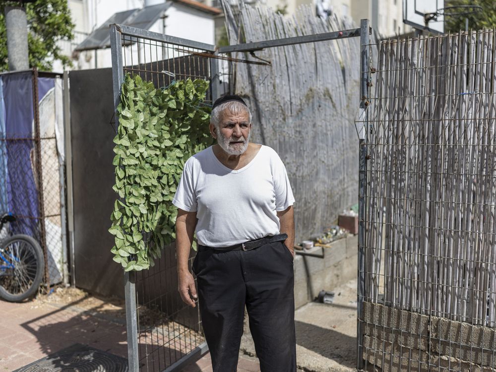 COLUMN: Trump running out of options in Iran | London Free Press