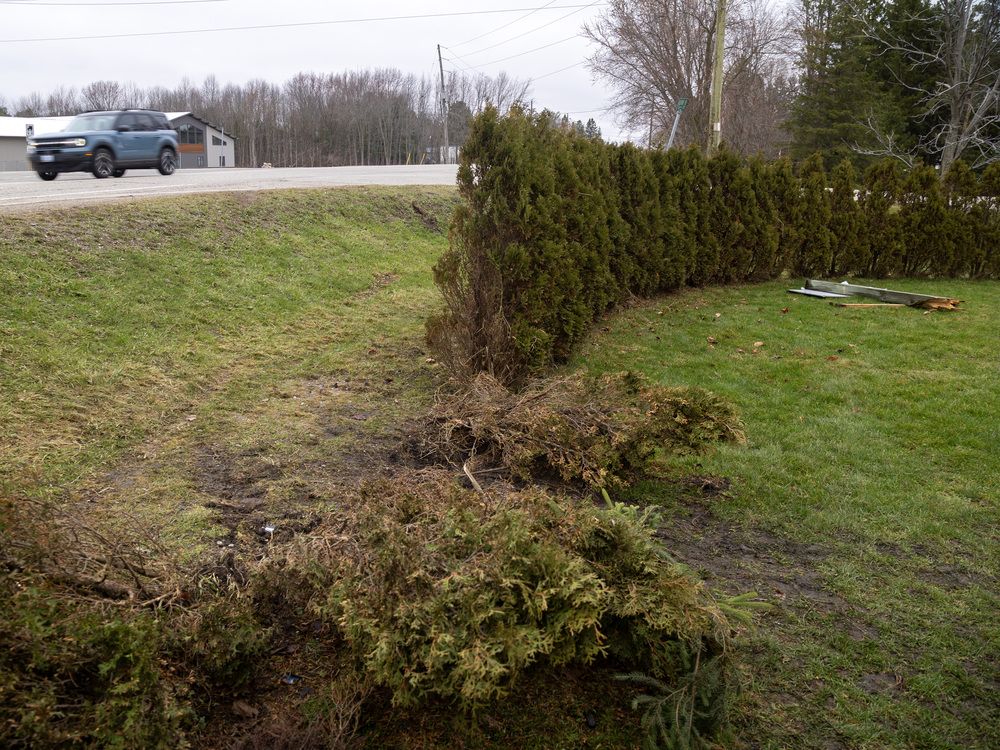 "We're trying to deal with it one day at a time and one foot ahead of the other and (that's) the only thing you can do."