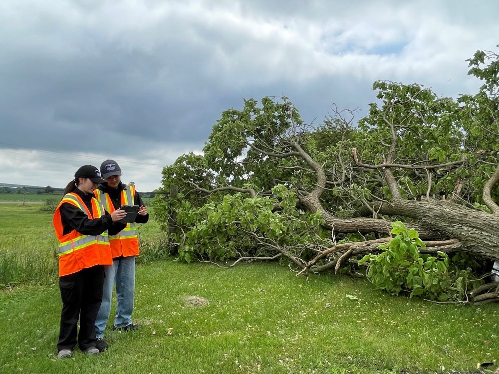 News of the day: Tornado downs trees, fireworks show tips, and more . . .