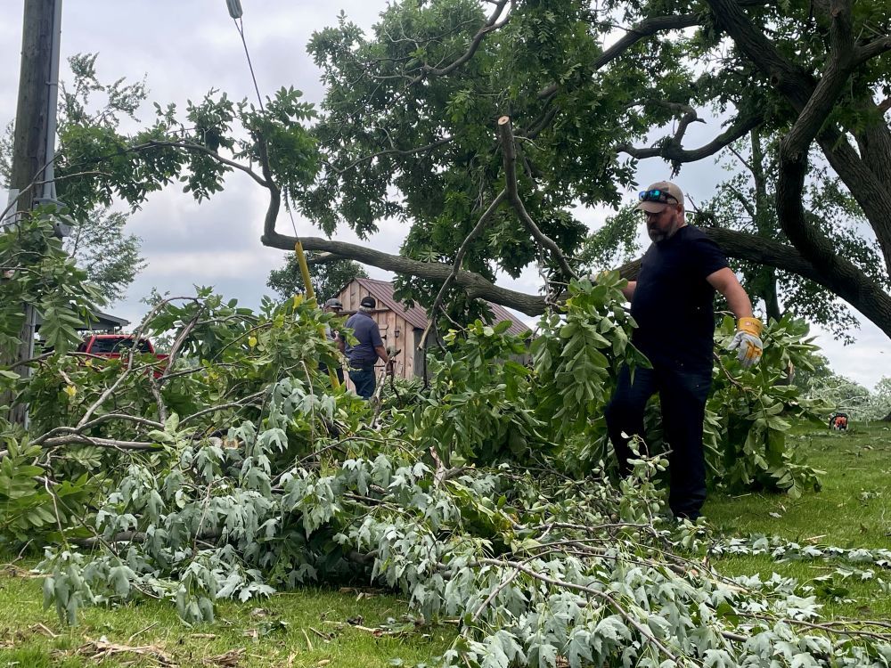 A tornado touched down west of Glencoe on Thursday, according to the Northern Tornadoes Project.