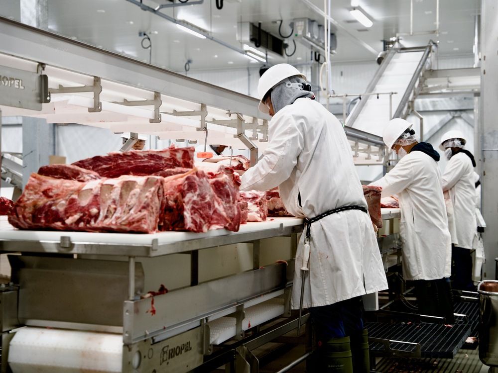 Ontario’s first new federally inspected meat plant in 20 years opens