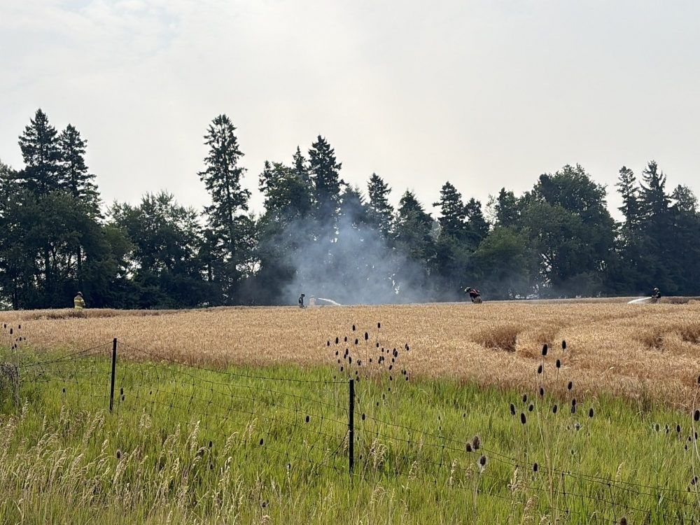 blaze at a wheat field