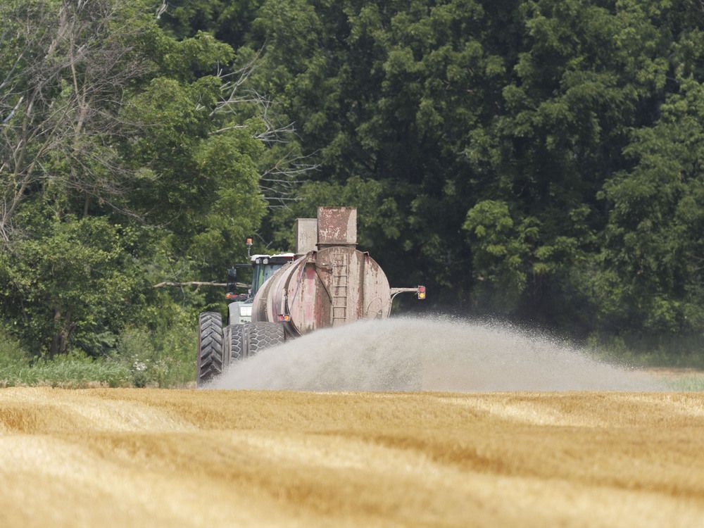 Renewed Iran conflict drives up costs for Southwestern Ontario farmers