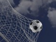 soccer ball and net