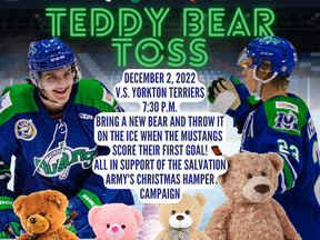 Teddy Bear Toss 22