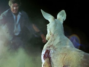 Image from Australian movie Wake in Fright, being shown at Fantasia film Festival 2011 in Montreal.