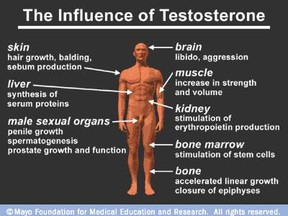 testosterone.jpg