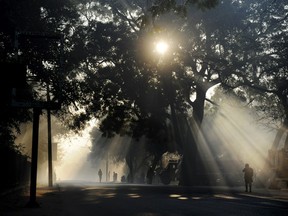 A school boy walks past the early morning sunlight filtered by fog, smoke and the branches of a tree in the Hauz Khaz neighborhood of New Delhi on January 31, 2012.  India spends 3.1 % of its GDP in education and the literacy rate in India is about 60 percent.   (ROBERTO SCHMIDT/AFP/Getty Images)