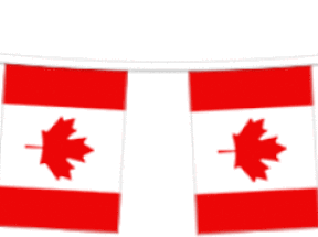 Cdnflags