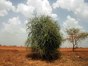 The body of a South Sudanese soldier lies on the ground in Sudan's oil town of Heglig on April 23, 2012. A stench of death filled the air and oil leaked onto the ground in Sudan's main petroleum centre of Heglig, where Sudan's army says more than 1,000 Southern soldiers died in battle. (ASHRAF SHAZLY/AFP/Getty Images)