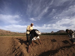 organic vs conventional agriculture