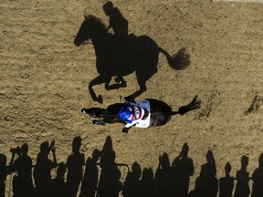 Thailand's Nina Lamsan Ligon riding Butts Leon rides past spectators as she competes in the Cross Country phase of the Eventing competition of the 2012 London Olympics at the Equestrian venue in Greenwich Park, London, July 30, 2012. AFP PHOTO / ADRIAN DENNIS