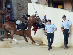 Italian Carabinieri falls off during a parade on the eve of the Palio horse race, in Siena on August 15, 2012. The Palio medieval race is held twice a year in Siena with jockeys riding bareback around a makeshift race course set up in the city's central square. AFP PHOTO/ FABIO MUZZIFABIO MUZZI/AFP/GettyImages