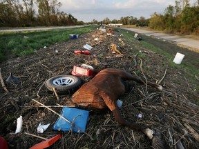 BRAITHWAITE, LA - SEPTEMBER 03:  A dead horse and other debris from Hurricane Isaac flooding are washed up onto a levee in Plaquemines Parish on September 3, 2012 in Braithwaite, Louisiana. Damage totals from the hurricane could top $2 billion and more than 125,000 customers are still without power six days after the storm made landfall.   (Photo by Mario Tama/Getty Images)