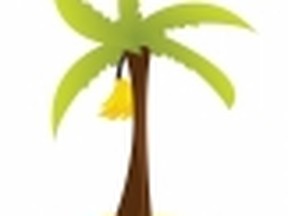 1374075_banana_tree[1]