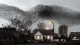 A murmuration of starlings put on an a display over the town of Gretna, Scotland Sunday Nov. 11, 2012. The starlings visit the area twice a year in the months of February and November.  (AP Photo/Owen Humphreys/PA Wire)