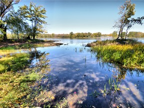 GUEPE will host a fishing caravan at the Cap St-Jacques Nature Park in Pierrefonds on Sunday afternoon. For more information, call 514-280-6829.