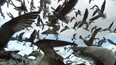 "Mine!" "Mine!" The fishing boat in the documentary film Leviathan is surrounded by hungry seagulls.