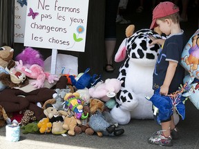 In this August, 2011 photo, a young boy looks at toys left by demonstrators who gathered in front of the Palais de justice in Montreal to protest the verdict that found Guy Turcotte not criminally responsible for the killing of his two children. Turcotte's release this week from psychiatric care after 46 months has sparked further outrage. ( Phil Carpenter/ THE GAZETTE)