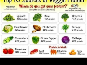Veggie protein