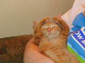 Ginger relaxing in Mommy's arms