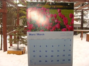 Only Signs of Spring I saw, was my calendar saying March - but weather is not cooperating.