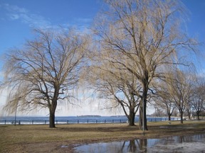 Puddles: Remember your boots when walking at Lachine Canal!