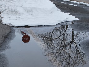 Reflections in the puddle