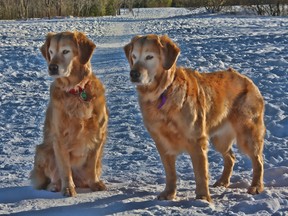 Sister's, Annie & Meg out for their daily walk