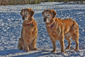 Sister's, Annie & Meg out for their daily walk