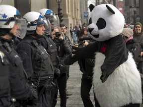 Anarchopanda greets riot police at the start of a student protest against tuition fee hikes held last month. A downtown business group says the continuing protests are killing business in downtown Montreal. THE CANADIAN PRESS/Ryan Remiorz