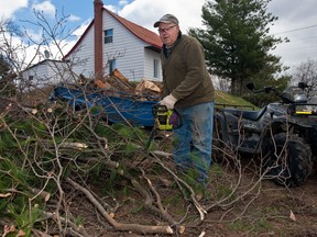 Gerard Chevrier chops up a twisted and mangled limb, in a Spring cleanup outside his home on St-Angelique Rd.