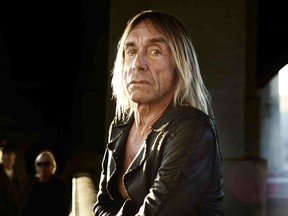 Iggy Stooges colour photo by david raccuglia