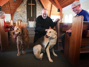 Christ Church Beaurepaire in Beaconsfield offers a monthly service open to dogs, Paws and Pray. Pictured (from left to right) are church secretary Sandy Temple with dog Toby, Archdeacon Michael Johnson and Ian Temple with dog Myles.