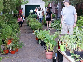 Plant Sale Dorval