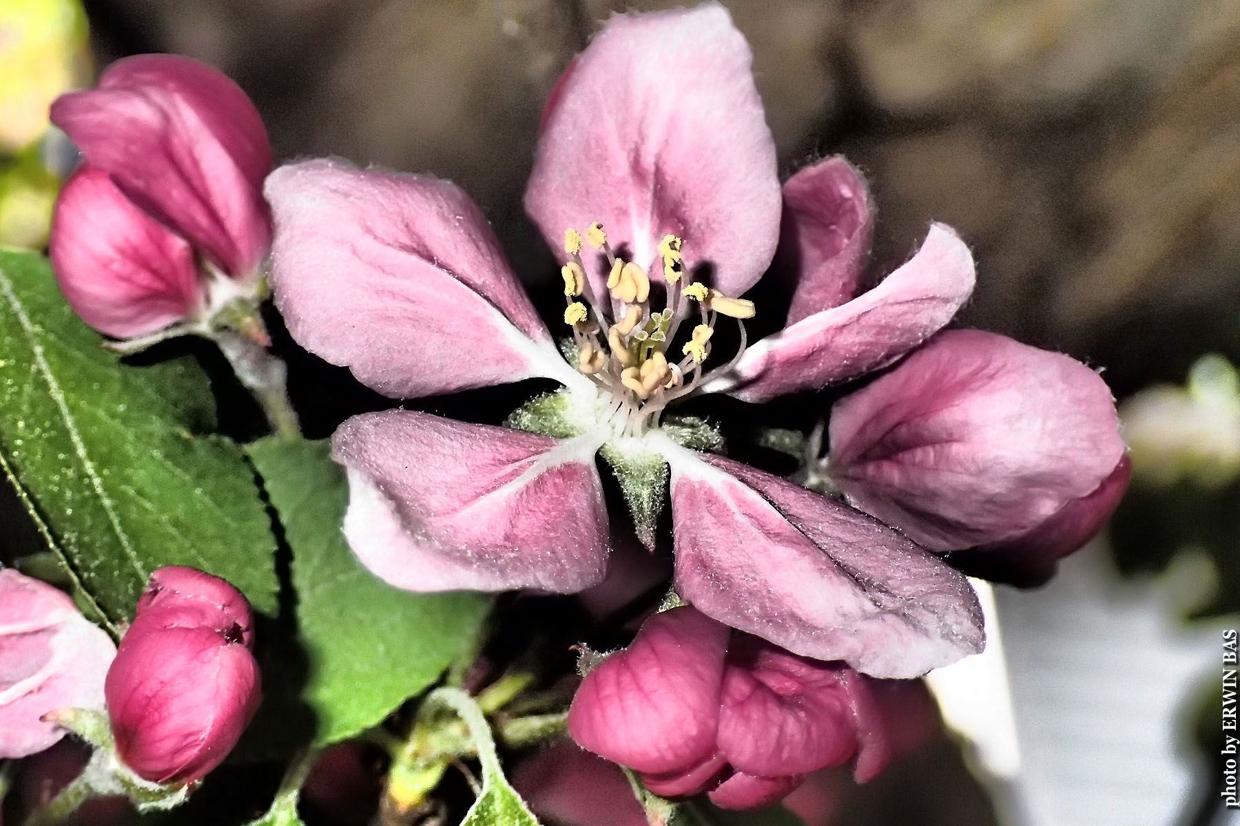 Letter 10 rules for safe cycling Montreal Gazette