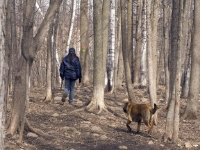 A resident walks her dog in the Angell Woods.