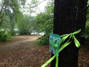 Green ribbons in St. Lazare are a symbol of how residents can make things happen.