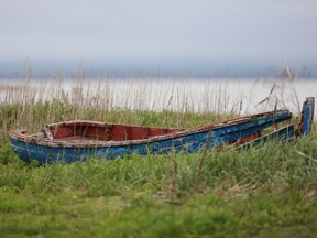 In the Gaspe old boats are put out to pasture.