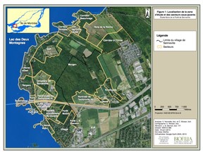 The lot known as the "triangle" is labelled "Foret L.B. Pearson," next to the village are.