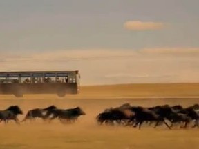Scene from the trailer of Chinese film Full Circle. Looks like those horses can outrun the old, ramshackle bus.