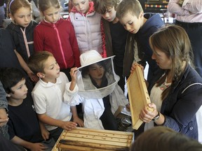 Clémence  Briand Racine, right, from Farm to School teaching program, shows students a bee hive.