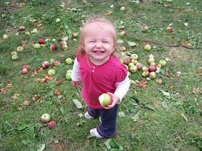 sept 2010-apple picking (31)