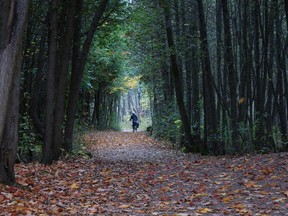 Bicycle ride through the trees at Parc Nature de Ile Bizard