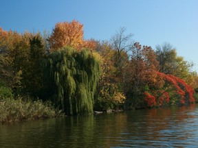 Colours along the lake in Centennial Park.