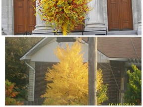 This tree in my back window reminds me of the "Chihuly" exhibit at the Montreal Museum of Fine Arts...it was breathtaking.