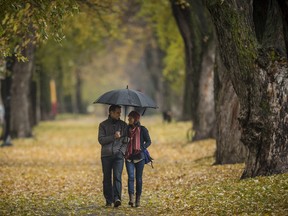 Plateau residents Eduard Teignier, left, and Julie Boyle, right, walk through a leaf-covered sidewalk at Jeanne-Mance Park during a rainy fall day in Montreal on Sunday, November 10, 2013. (Dario Ayala / THE GAZETTE)